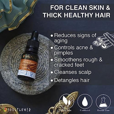 Soulflower Cinnamon Essential Oil for Skin Care, Hair Care, Hydrating | 100% Pure, Natural, Undiluted Cinnamon Essential Oil 15ml